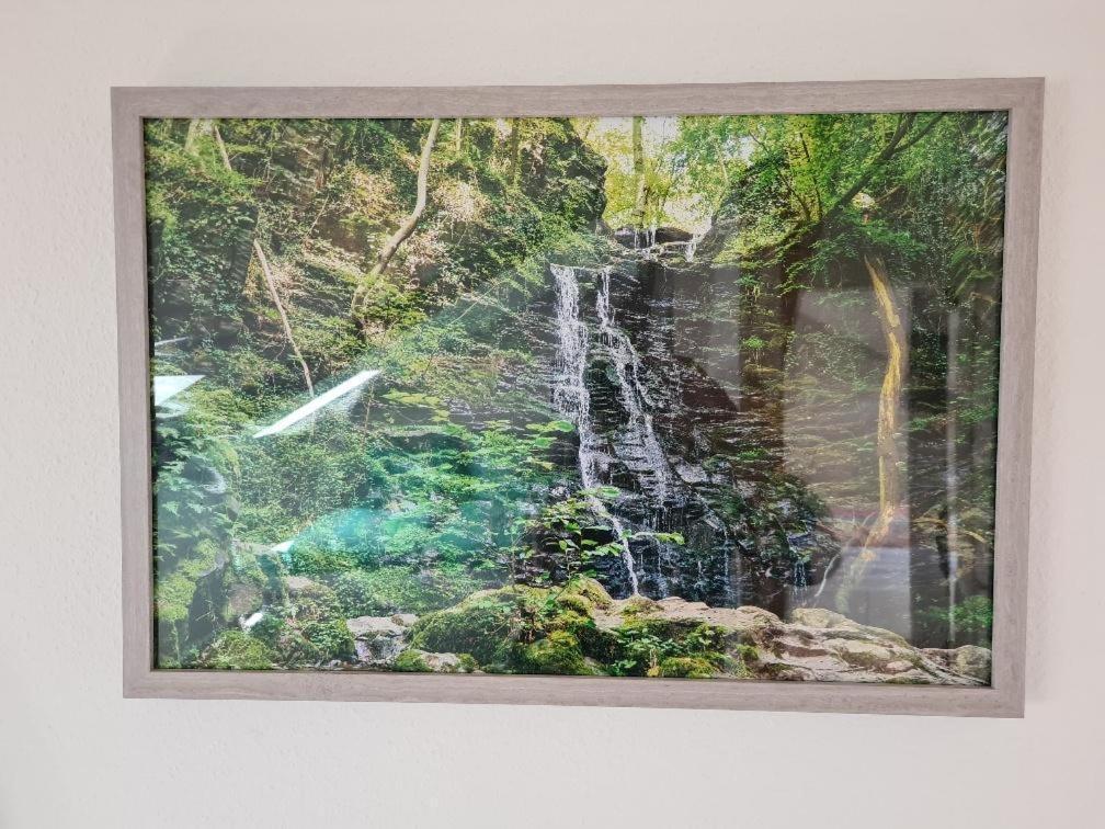 Ferienhaus Finca De Vida Y Luz Auderath ภายนอก รูปภาพ